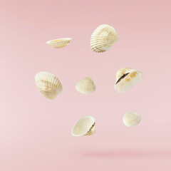 Colorful Seashells falling in the air isolated on pink background. Summer time concept.