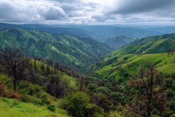 Naklejka premium Rolling green hills and valley landscape under a cloudy sky
