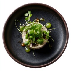 Succulent mushroom medallion crowned with verdant microgreens, embodying earthy elegance for Hautemans' Day, a gastronomic revelry of rare fungi