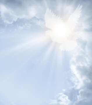 Fototapeta Bright light from cloudy sky