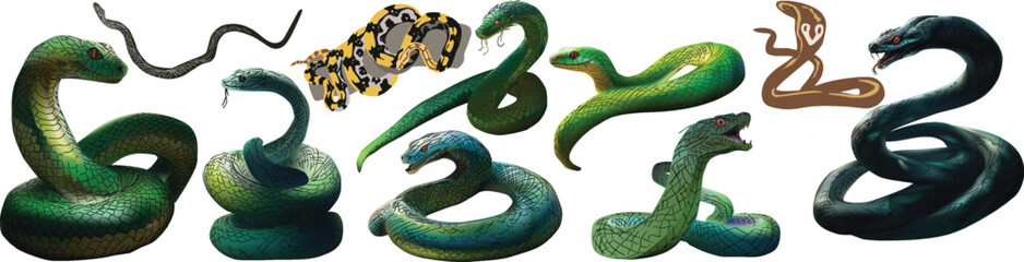 nine color snakes isolated on white