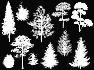 different trees eleven silhouettes isolated on black