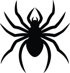 Spider Silhouette