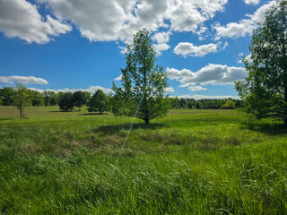 Fototapeta premium Sunlit Landscape Nature s Harmony