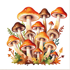 Watercolor Mushroom Clipart-Autumn Forest Fungi-Botanical Illustration-Mushroom Graphic Art-Edible Mushroom Painting-Fall Forest Decor-Mushroom Digital Art