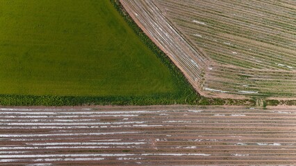 Drone-captured top-down view of English farmland with varying textures and colours.