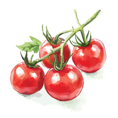 Watercolor Illustration of Ripe Cherry Tomatoes on a Green Vine