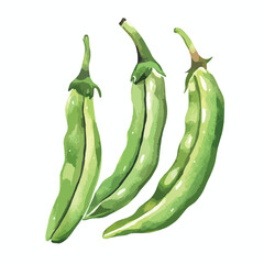 Watercolor Illustration of Three Green Peppers with Curving Stems and Textured Surfaces