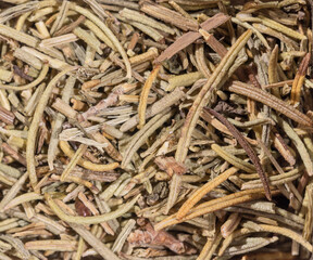 brown dryed seeds background closeup