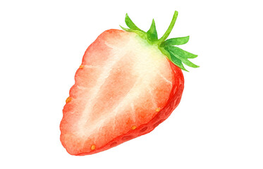 いちご 水彩 イラスト 白バック