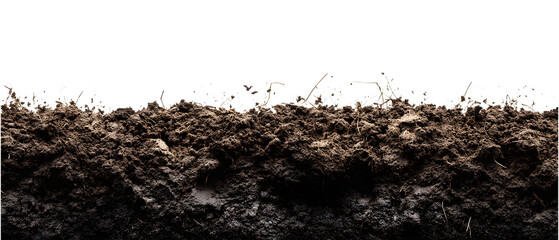Cross section of soil with grass roots isolated on transparent background