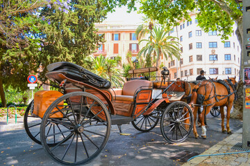 Closeup of Horse and Carriage in Historic Palma Streets