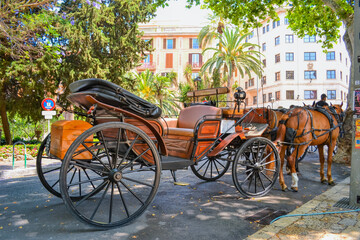 Closeup of Horse and Carriage in Historic Palma Streets