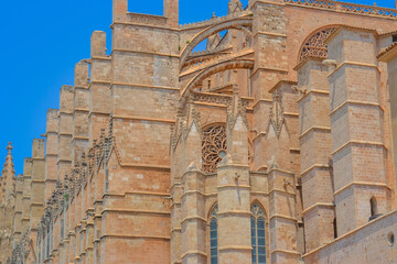 View of Mallorca Cathedral under Clear Blue Sky
