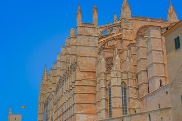 View of Mallorca Cathedral under Clear Blue Sky