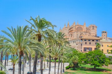 View of Mallorca Cathedral under Clear Blue Sky