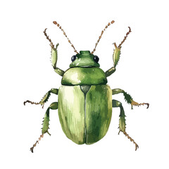 Watercolor Painting of a Green Beetle with Detailed Antennae