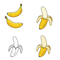 Cartoon bananas. Peel banana, yellow fruit and bunch of bananas. Tropical fruits, banana snack or vegetarian nutrition. Isolated vector illustration icons set