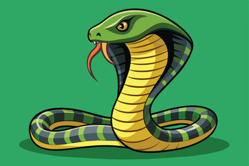 Fototapeta premium Adobe Illustrator Artwork