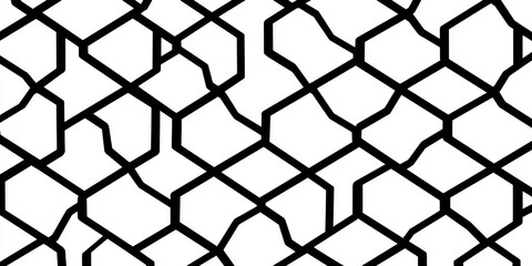 Fototapeta premium Monochrome Lines and Shapes Design