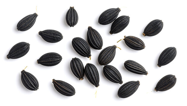 Black cumin seeds with fine ridges and natural shadows