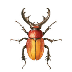 Watercolor Stag Beetle Illustration with Detailed Antlers and Textured Body