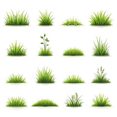 Green grass bush set illustration