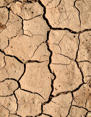 Fototapeta premium dry cracked earth