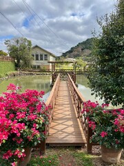 wooden bridge in the park