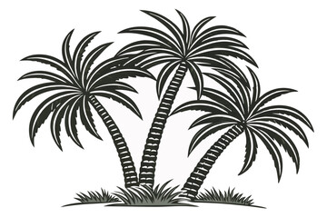 Fototapeta premium Black and white vector illustration of three palm trees on a white background