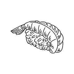 Original illustration of sushi surimi, Japanese food, hand-drawn with ink. Sushi drawings, Japanese dish
