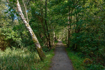Seit 1911 gibt es einen Wanderweg durch den Spreewald von Lübbenau zur "Wotschofska"