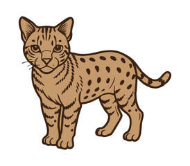 Colorful illustration of a Striped Cat