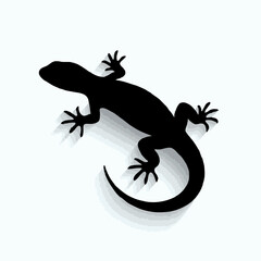  Black lizard silhouette with shadow on white background

