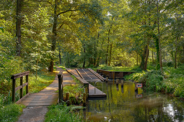 Umsetzstelle mit Bootsrolle für Wasserwanderer am "Bürgerfließ" im Spreewald zwischen Lübbenau und der "Wotschofska"