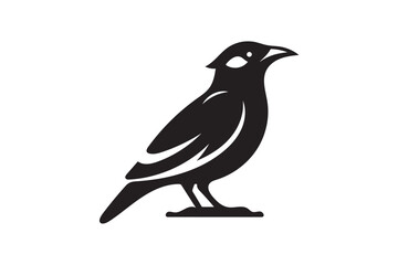 Obraz premium Mynah icon silhouette on white background .