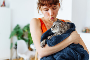 wet washed fluffy domestic cat wrapped in towel in young woman's arms © larisikstefania