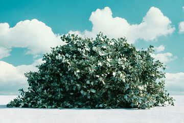 A large bush with green leaves is in front of a blue sky