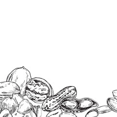 Nuts vector frame hand drawn with ink. Template with kernels and nutshells of cashew, almond, hazelnut, walnut and peanut for label and textile design