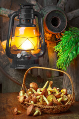 Still life of yellow boletus mushrooms