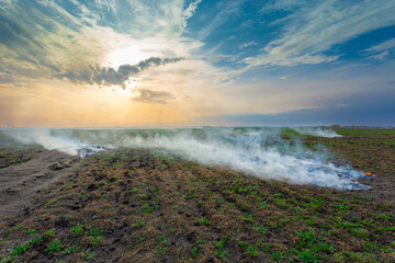 smoke over the field