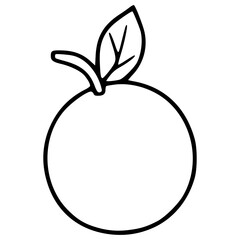 Orange Fruit Vector