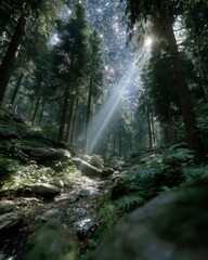 A serene forest scene with tall trees, sunlight streaming through the canopy, and a small stream flowing over rocks. Lush green ferns surround the area.