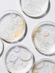 Petri dishes with white bacterial colonies on a white background, close-up. Top view.