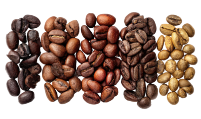 Exploring the Diverse Range of Coffee Bean Roasts