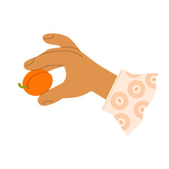 Female stylized hand with shirt cuff holding freshly picked ripe apricot. Cute vector illustration for berry jam jar label design, fruit farm shop advertisement, pie recipe, garden harvest.
