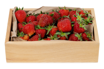 Homegrown Handpicked Strawberries in Wooden Punnet Isolated PNG