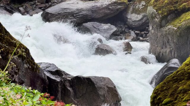 Powerful mountain river slow mo running through the big boulders down foggy rain forest valley in Makalu Barun National Park near Chatra Khola settlement. Mera peak climbing route, Himalayas, Nepal.