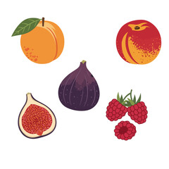 Minimalist vector illustrations of summer fruits—peach, nectarine, fig, and raspberry—with names written in Italian. Clean design using flat colors and fresh aesthetic