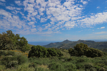 La Balagne, entre L'île Rousse et Calvi